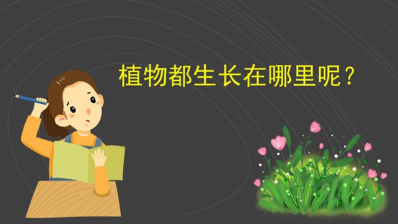 （2024）新教科版科学一年级上册（1-3）植物长在哪里PPT课件+视频+教学设计04