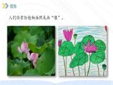 （2024）新教科版科学一年级上册（1-4）给植物画张“像”PPT课件+视频+教学设计