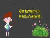 （2024）新教科版科学一年级上册（1-4）给植物画张“像”PPT课件+视频+教学设计