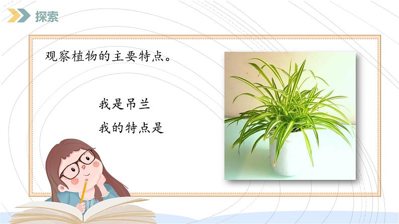 （2024）新教科版科学一年级上册（1-4）给植物画张“像”PPT课件+视频+教学设计06