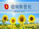 （2024）新教科版科学一年级上册（1-5）植物的变化PPT-课件+视频+教学设计