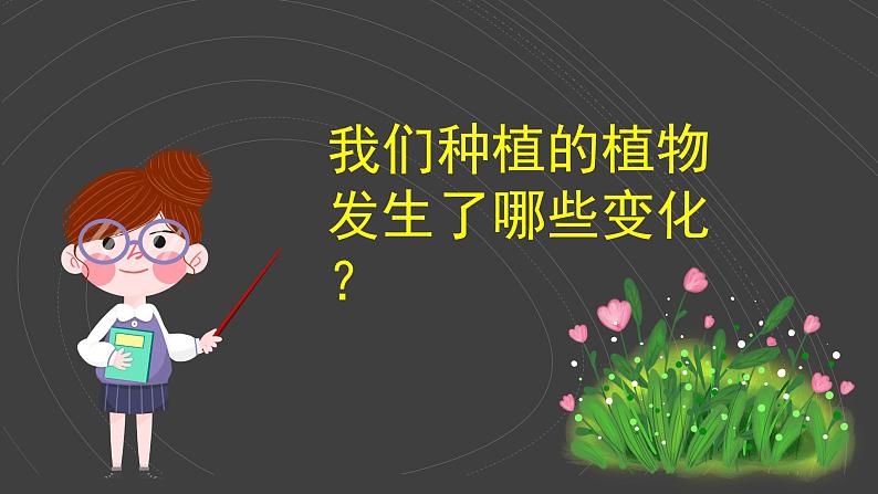 （2024）新教科版科学一年级上册（1-5）植物的变化PPT-课件+视频+教学设计04