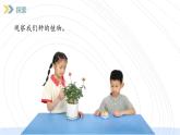 （2024）新教科版科学一年级上册（1-5）植物的变化PPT-课件+视频+教学设计