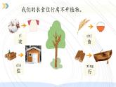 （2024）新教科版科学一年级上册（1-7）单元小结-PPT课件+视频+教学设计