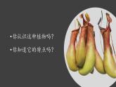 （2024）新教科版科学一年级上册（1-8）科学阅读-PPT课件+视频+教学设计