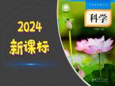（2024）新教科版科学一年级上册（1-6）校园里的植物-PPT课件+视频+教学设计