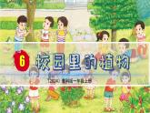（2024）新教科版科学一年级上册（1-6）校园里的植物-PPT课件+视频+教学设计