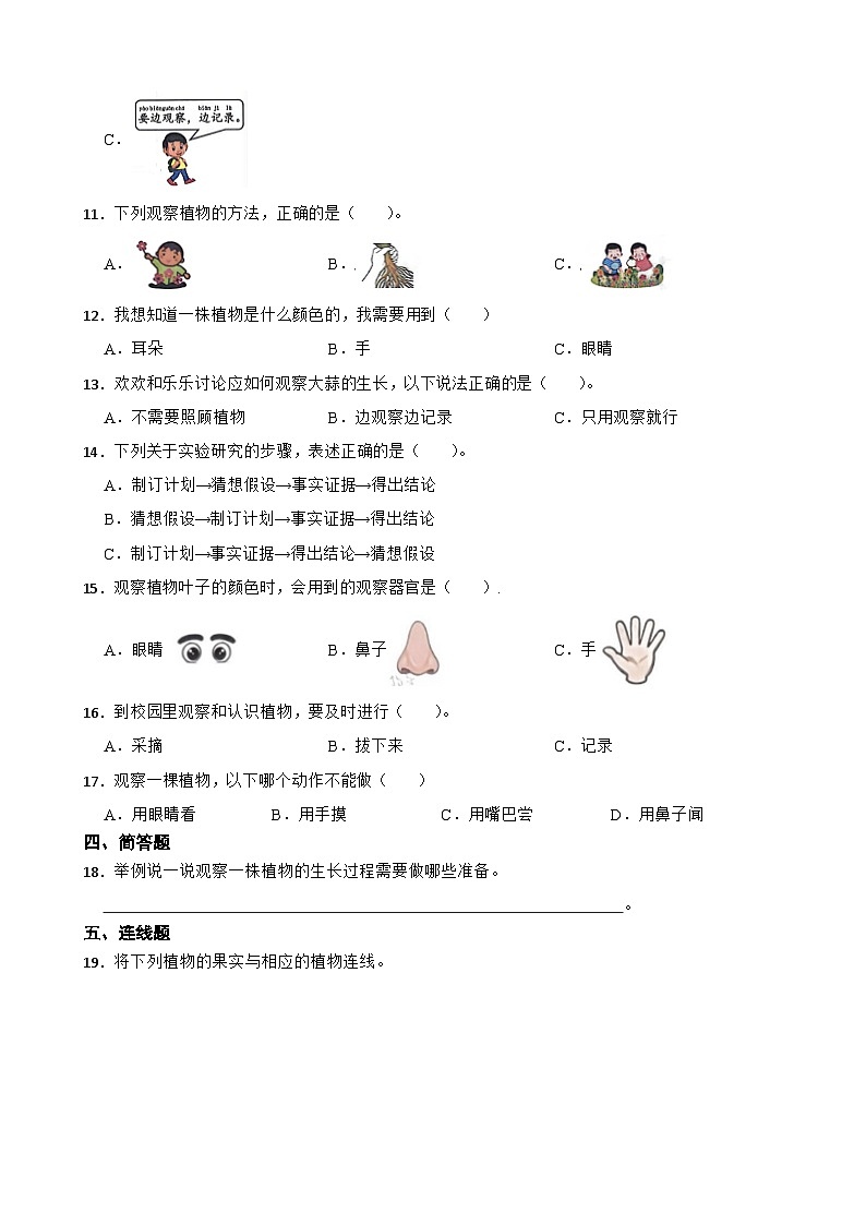 2024年新版教科版一年级上册课时练1.2《观察植物》02