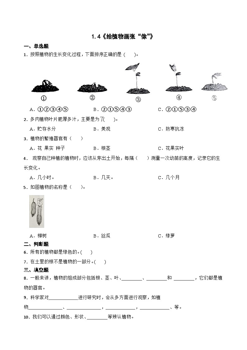 2024年新版教科版一年级上册课时练1.4《给植物画张“像”》01