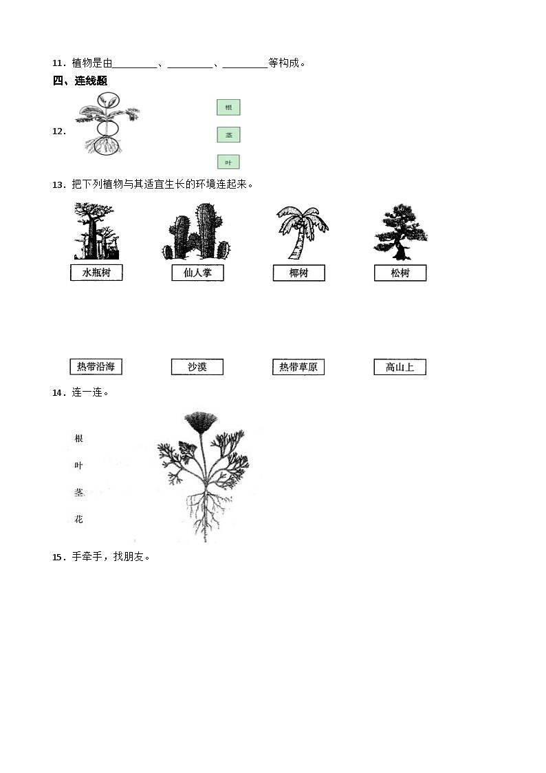 2024年新版教科版一年级上册课时练1.4《给植物画张“像”》02