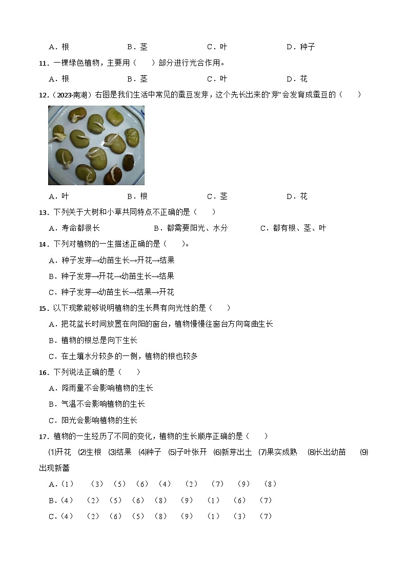 2024年新版教科版一年级上册课时练1.5《植物的变化》02