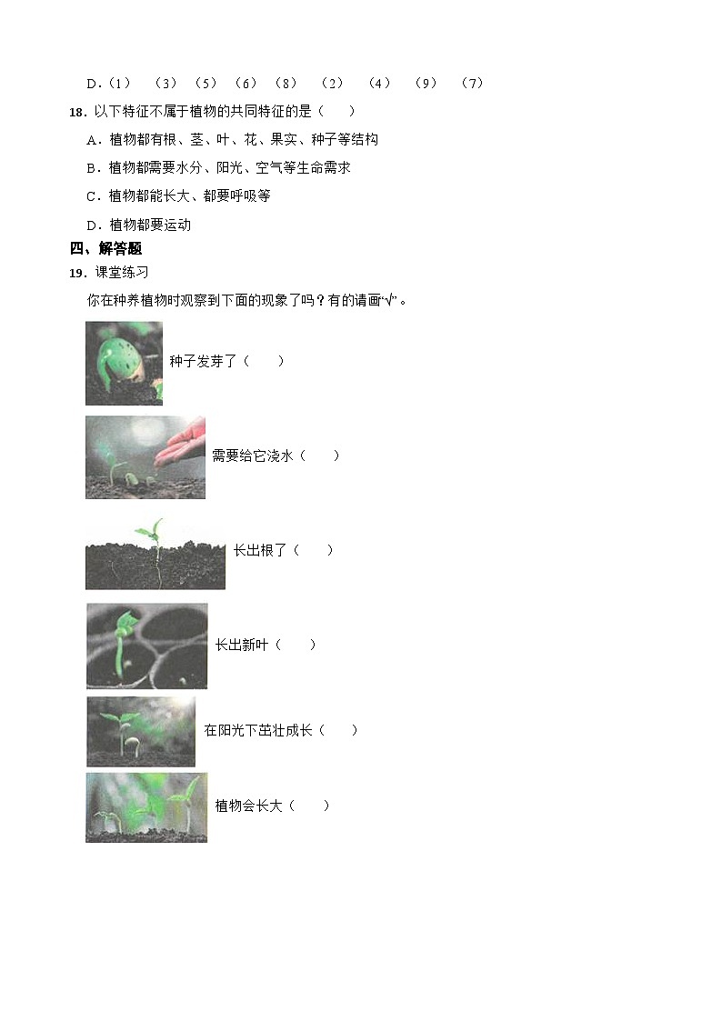 2024年新版教科版一年级上册课时练1.5《植物的变化》03