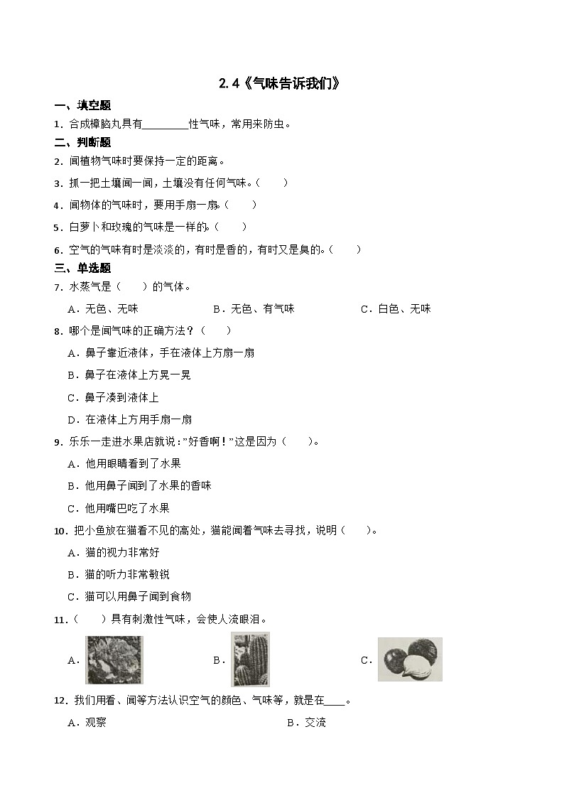 2024年新版教科版一年级上册课时练2.4《气味告诉我们》01