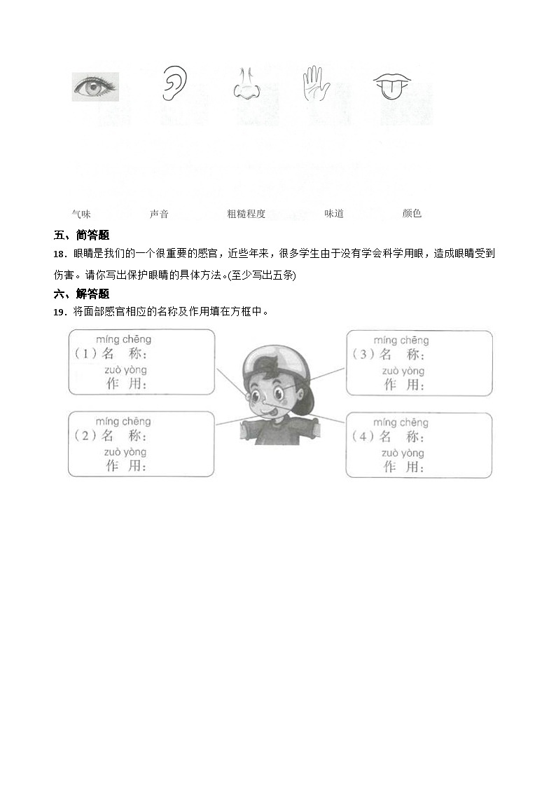 2024年新版教科版一年级上册课时练2.5《通过感官来发现》03