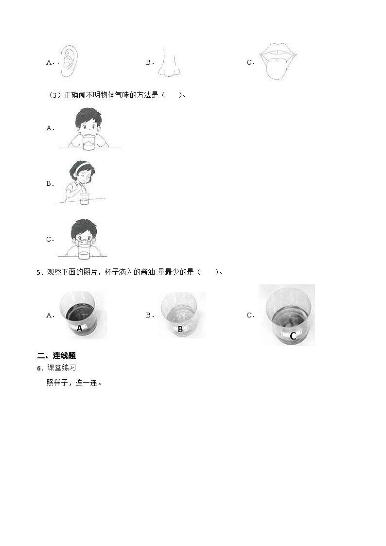 2024年新版教科版一年级上册课时练2.6《观察与比较》02