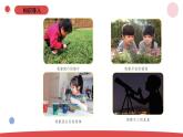 1.1《小小科学家 》（课件+教案）-2024-2025学年一年级上册科学 苏教版（2024）