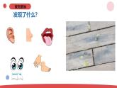 3.7《事实与猜想》（课件+教案）-2024-2025学年一年级上册科学 苏教版（2024）