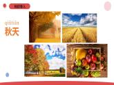 3.9.《探究秋叶的秘密》（课件+教案）-2024-2025学年一年级上册科学 苏教版（2024）