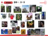 4.11《人工世界》（课件+教案）-2024-2025学年一年级上册科学 苏教版（2024）