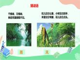 苏教版科学二年级上第一课今天天气怎么样课件