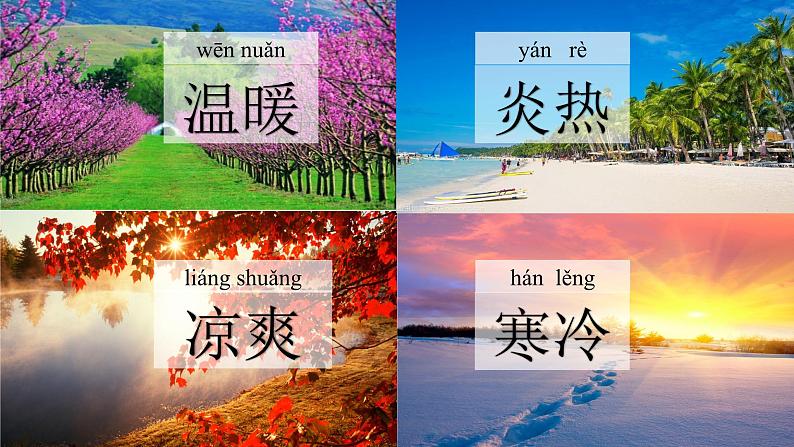 苏教版科学二年级上第三课四季的天气课件08