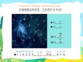苏教版科学二年级上第六课数星星  课件
