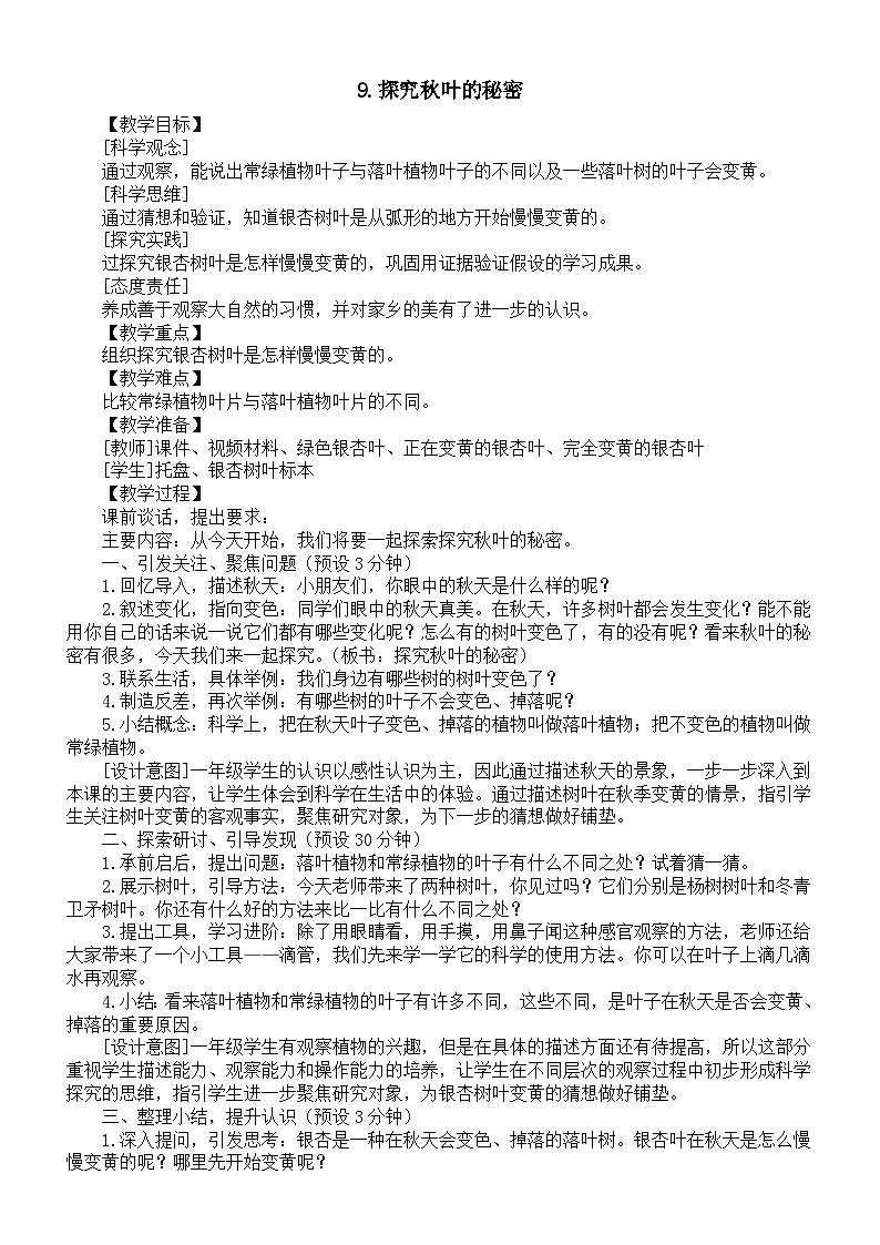 小学科学新苏教版一年级上册第三单元第9课《探究秋叶的秘密》教案（2024秋）01