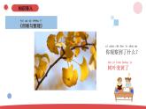 小学科学新苏教版一年级上册第三单元《用大脑思考》单元小结教学课件（2024秋）