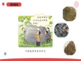 小学科学新苏教版一年级上册第一单元第1课《小小科学家》教学课件（2024秋）