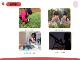 新蘇教版一年級(jí)上冊(cè)科學(xué)1.1《小小科學(xué)家》課件