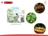 新蘇教版一年級(jí)上冊(cè)科學(xué)1.1《小小科學(xué)家》課件