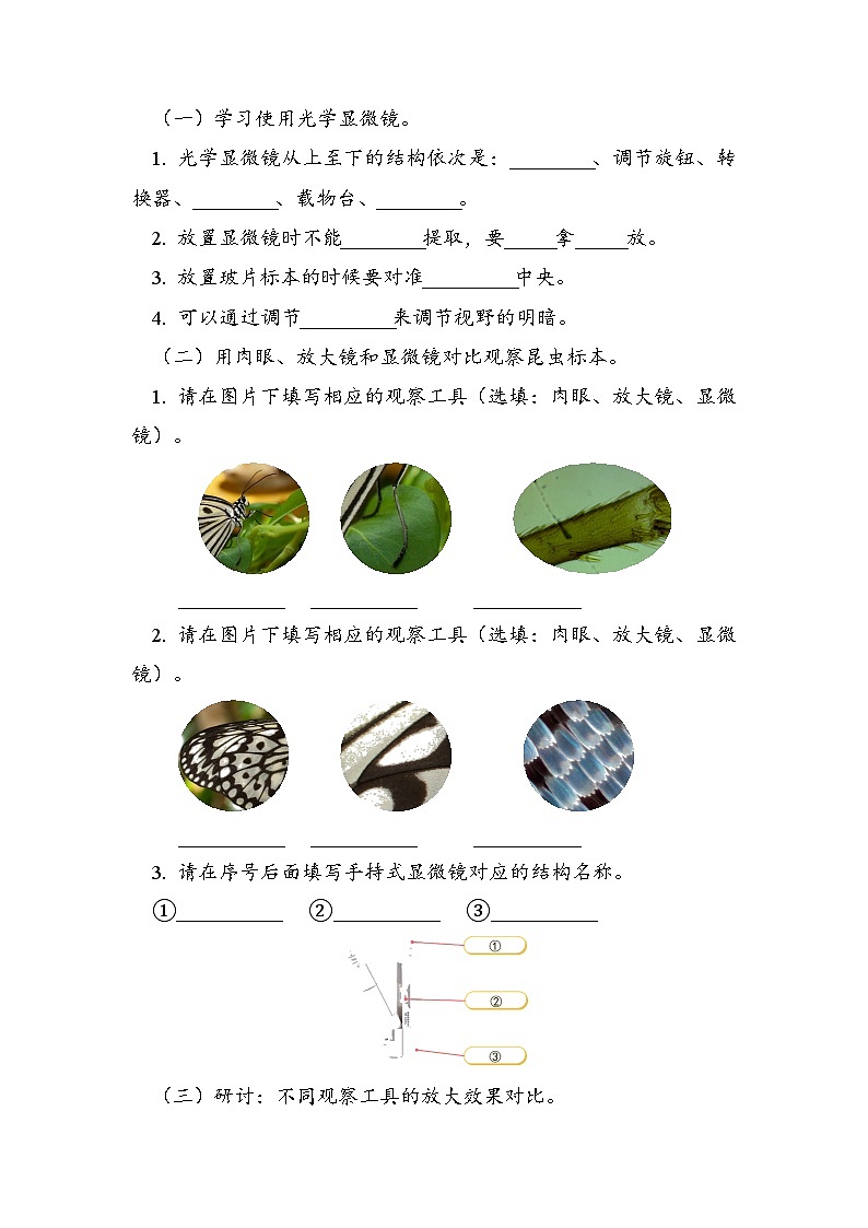 六年级上学期科学6.1.3观察身边微小的物体学案02