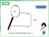 【新课标】教科版科学六年级上册1.1 《放大镜》 教学课件+教案+素材