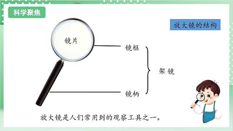 【新课标】教科版科学六年级上册1.1 《放大镜》 教学课件+教案+素材03