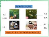 【新课标】教科版科学六年级上册1.1 《放大镜》 教学课件+教案+素材
