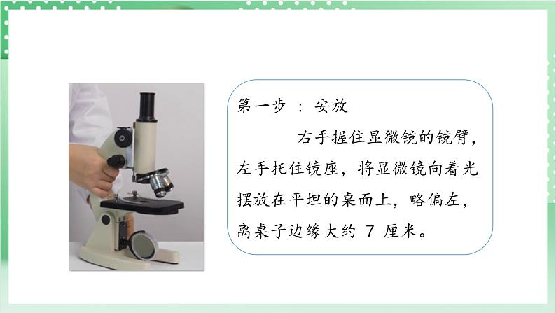 【新课标】教科版科学六年级上册1.3 《观察身边微小的物体》 教学课件+教案+素材08