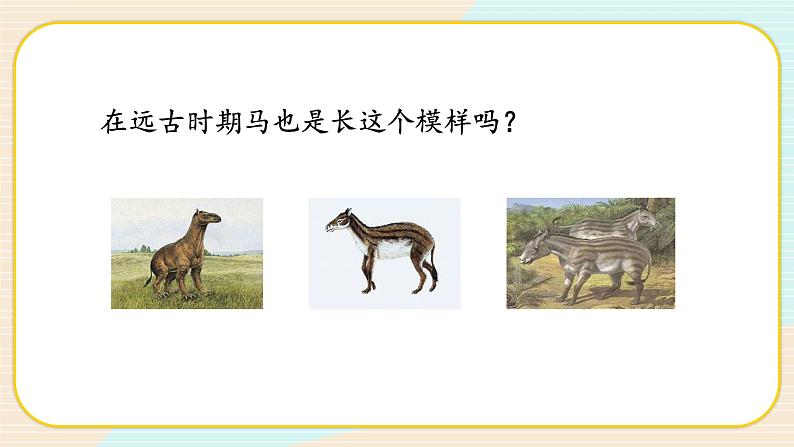 【核心素养】冀人版科学六年级上册4.生物的演变 同步课件+同步练习+教学设计04