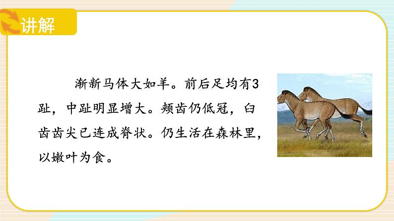 【核心素养】冀人版科学六年级上册4.生物的演变 同步课件+同步练习+教学设计07