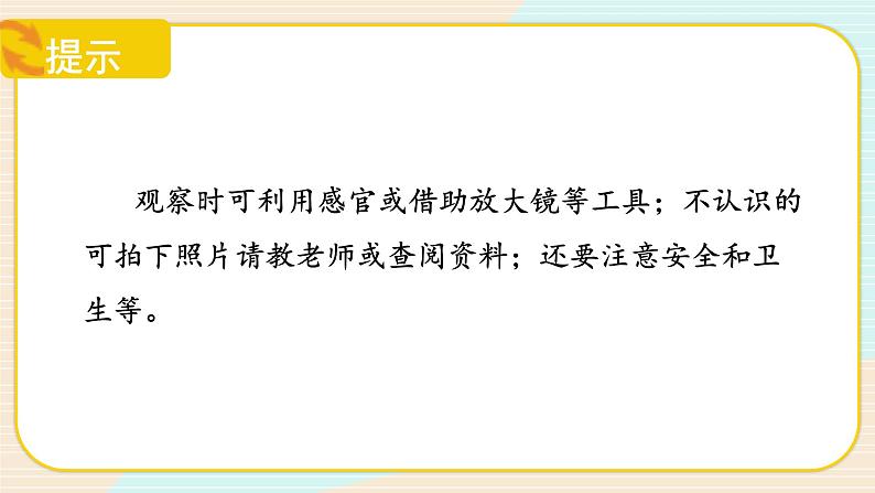 【核心素养】冀人版科学六年级上册14.池塘里的世界 同步课件+同步练习+教学设计06