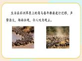 【核心素养】冀人版科学六年级上册16.角马的迁移 同步课件+同步练习+教学设计