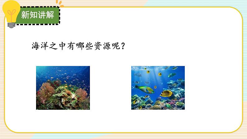 【核心素养】冀人版科学六年级上册19.丰富的海洋资源 同步课件+同步练习+教学设计05