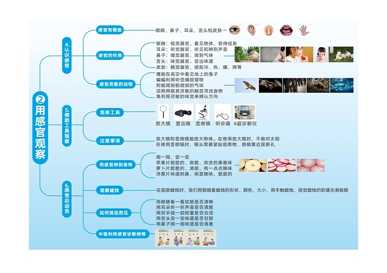 小学科学新苏教版一年级上册全册思维导图（2024秋）02