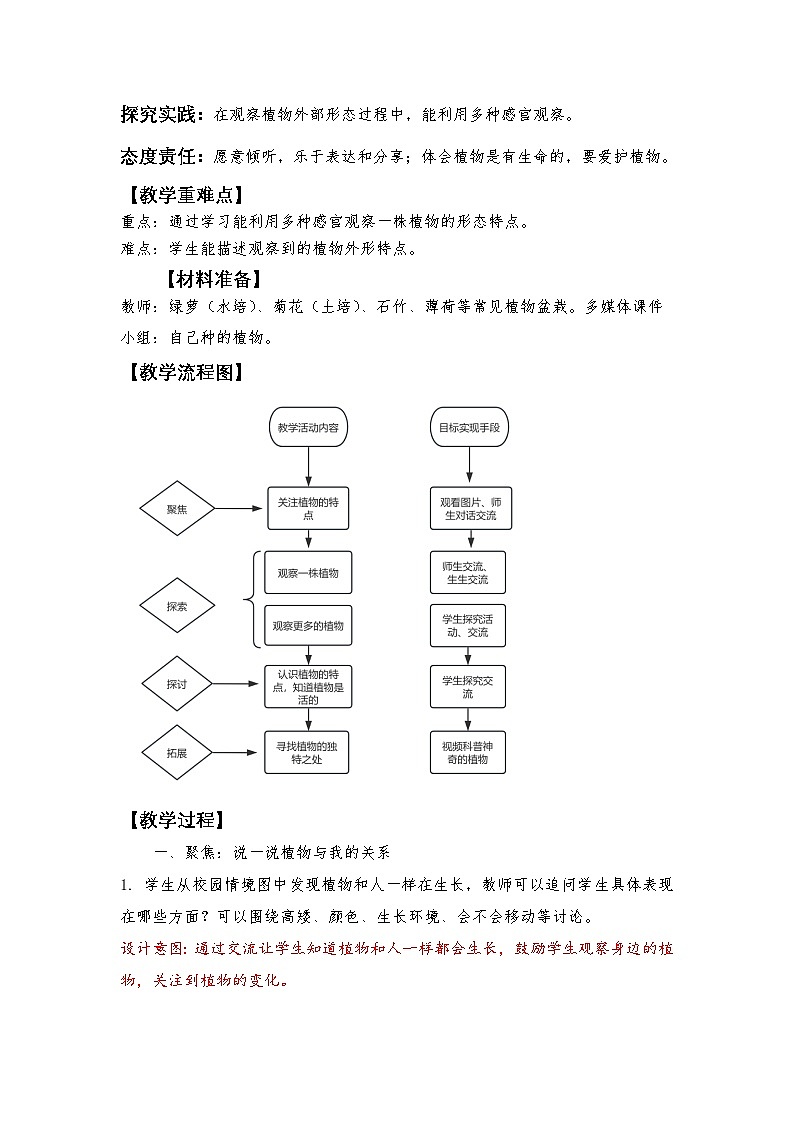 1.2 观察植物（课件+教学设计）-2024-2025学年科学一年级上册教科版（2024）02