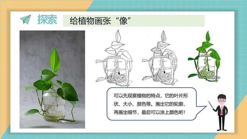 1.4 给植物画张“像”（课件+教学设计）-2024-2025学年科学一年级上册教科版（2024）04