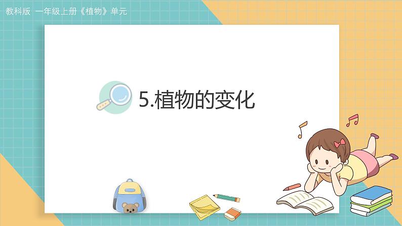 1.5 植物的变化（课件+教学设计）-2024-2025学年科学一年级上册教科版（2024）01