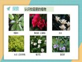 1.6 校园里的植物（课件+教学设计）-2024-2025学年科学一年级上册教科版（2024）