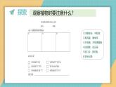 1.6 校园里的植物（课件+教学设计）-2024-2025学年科学一年级上册教科版（2024）
