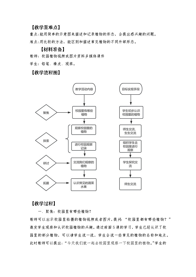 1.6 校园里的植物（课件+教学设计）-2024-2025学年科学一年级上册教科版（2024）02