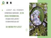 【核心素养】教科版科学六年级上册 1.1 放大镜（教学课件+同步教案）