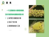 【核心素养】教科版科学六年级上册 1.2 怎样放得更大（教学课件+同步教案）